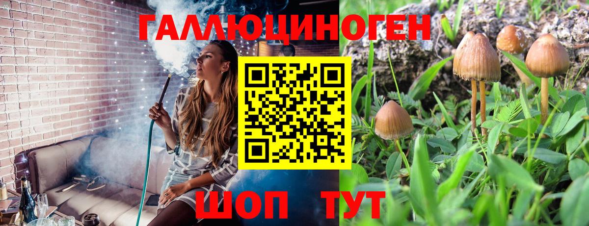 Галлюциногенные грибы Cubensis Кинель