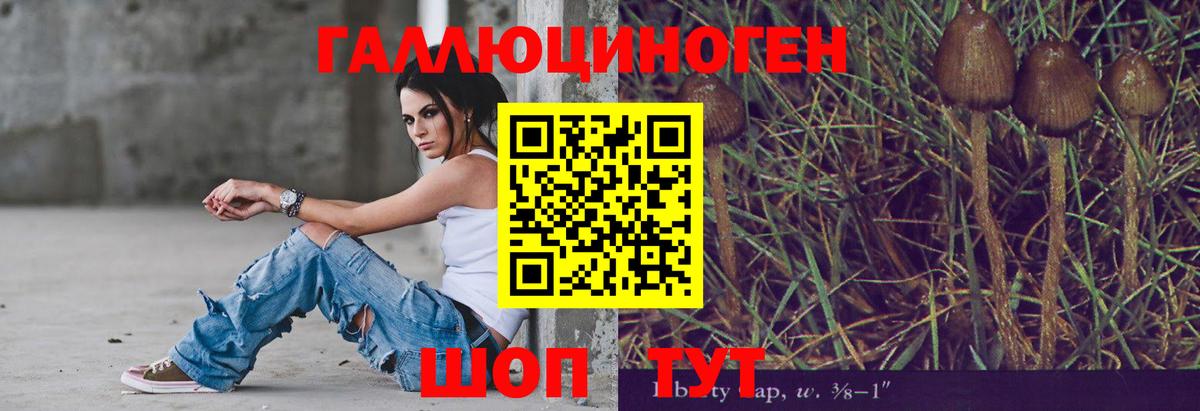 Кинель  Псилоцибиновые грибы Psilocybine cubensis  Вход с VPN  Псилоцибиновые грибы мицелий 